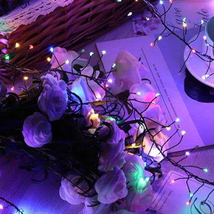 FrostSparkle™ | Enchant your Christmas with sparkling light